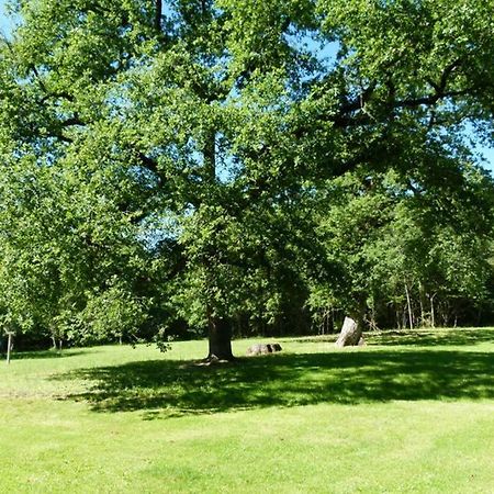 Gite En Brenne Les Chenes Merigny Dış mekan fotoğraf