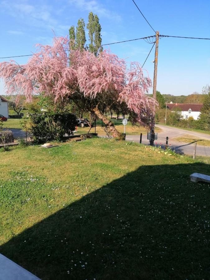 Gite En Brenne Les Chenes Merigny Dış mekan fotoğraf